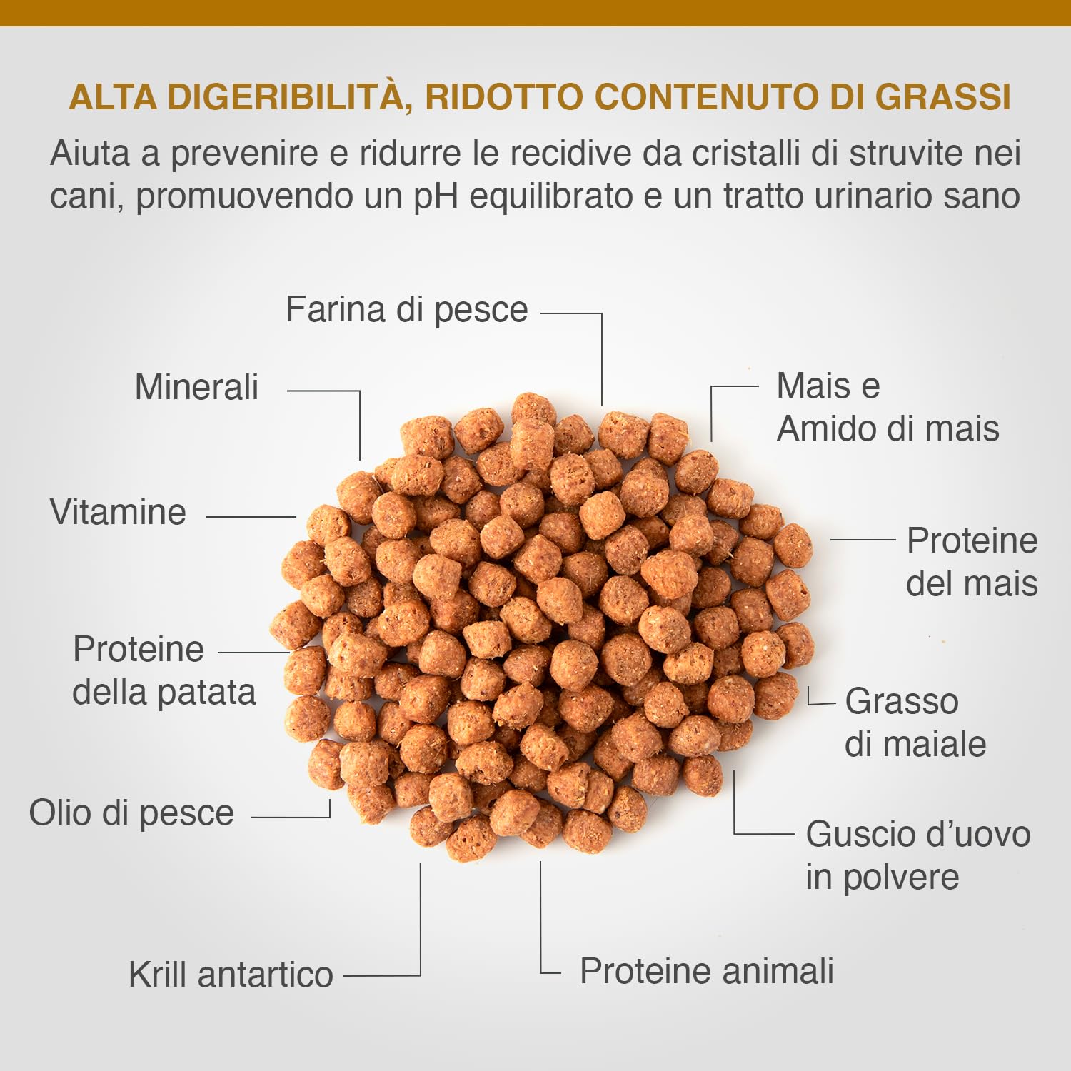 Specific Canine Adult CCD Struvite Management 12KG