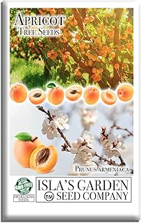 Apricot Tree Seeds - 3 Seeds Per Packet - Isla's Garden Seeds, Non GMO & Heirloom Seeds, Botanical Name: Prunis Armeniaca, Great Home Garden Gift, Fruit Producing Tree