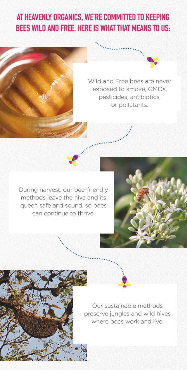 Heavenly Organics 100% Organic Raw White Honey 3 Pack - Size 12 OZ/Jar Lightly Filtered to Preserve Vitamins, Minerals and Enzymes; Made from Wild Beehives & Free Range Bees, Dairy, Nut, Gluten Free, Kosher, Chemical , Antibiotic and Glyphosate free