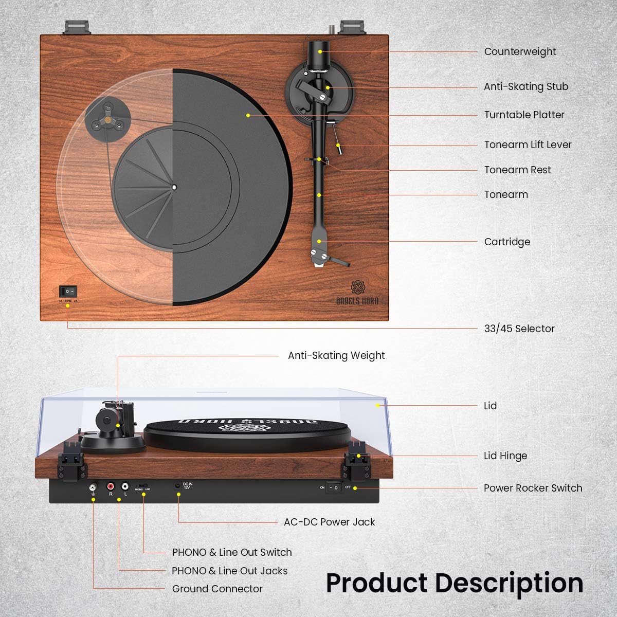 Vinyl Record Player, ANGELS HORN Turntables for Vinyl Records, Built-in Phono Preamp, Belt Drive 2-Speed, Adjustable Counterweight, AT-3600L, No Bluetooth
