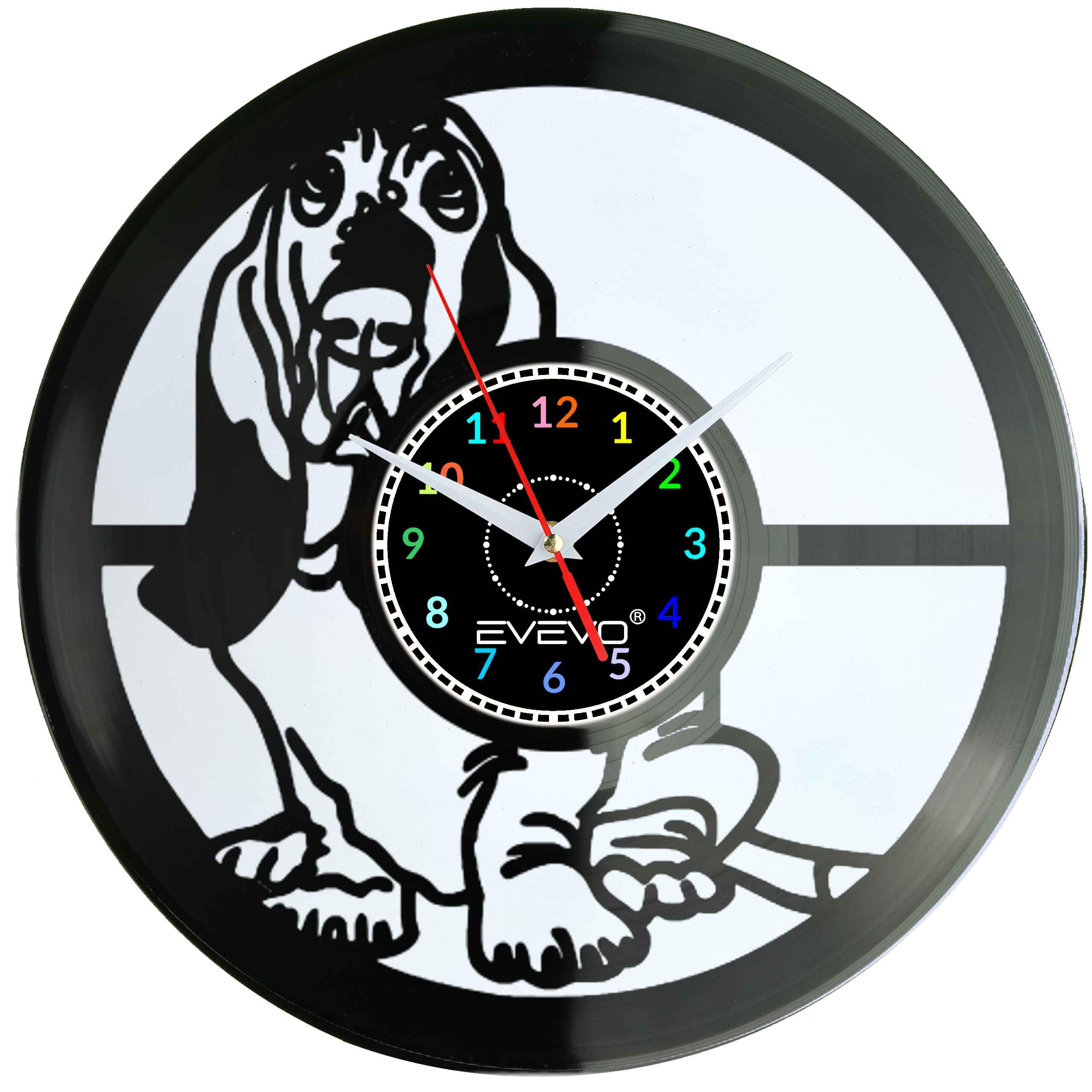 BASSET BRETOŃSKI PIES ZEGAR ŚCIENNY FLUORESCENCYJNE TŁO PŁYTA WINYLOWA PREZENT UPOMINEK URODZINY GIFT SOUVENIR EVEVO F0046