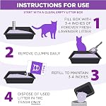 Arm & Hammer Forever Fresh Clumping Cat Litter Lavender, MultiCat 18lb with 20% More Lavender Freshness, Pet Friendly with Essential Oils