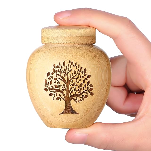 HOOMTREE - Juego de 1 urna pequeña para Cenizas humanas, urnas en Miniatura para Cenizas Hechas de bambú…