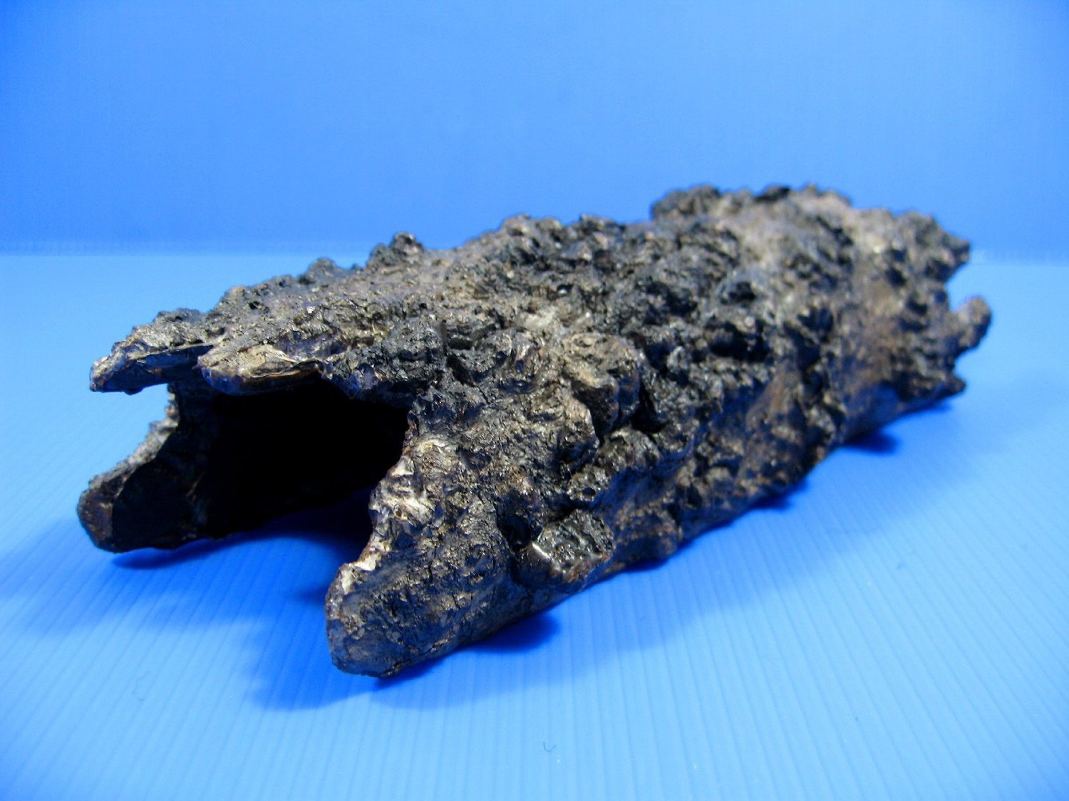 Amazon | プラスチック樹脂 水族館 装飾流木樹皮 洞窟スタイル 魚