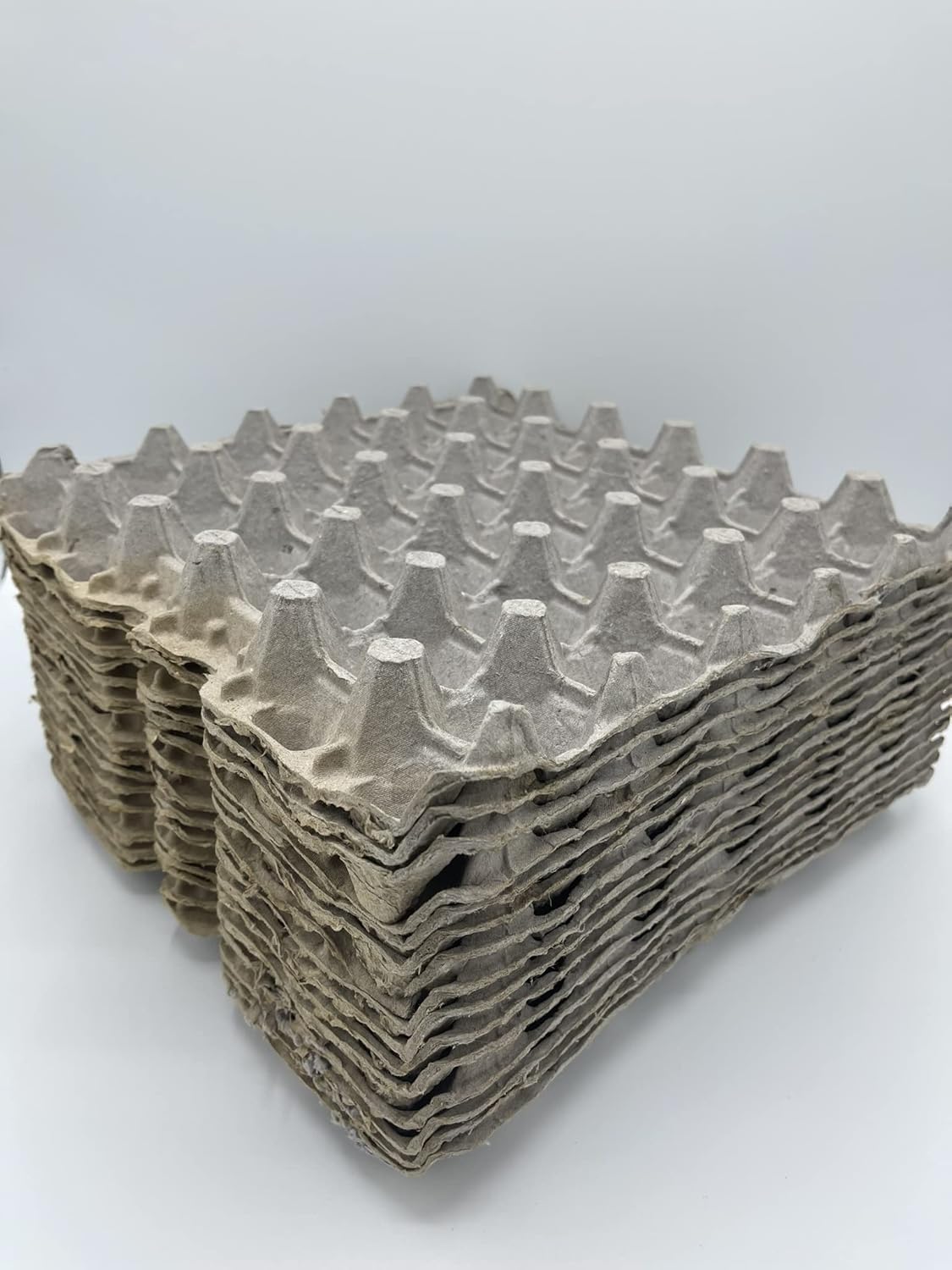 BASSETT'S CRICKET RANCH Egg Flats Feeder Insects (25 Count) 12x12