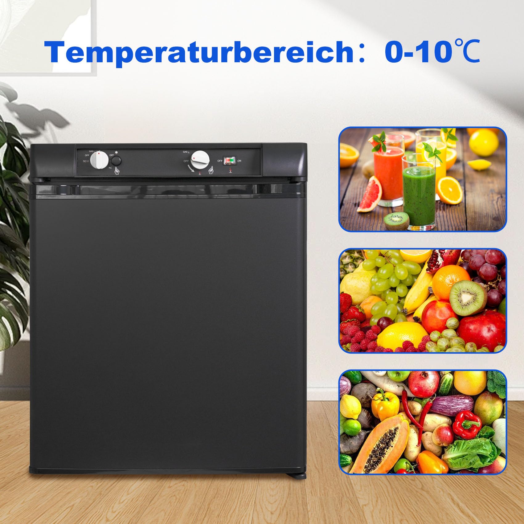 Camping Kühlschrank Gas 12V 230V, Gas Kühlschrank 40L, Kühlschrank 12V 230V Gas, für Camping, Wohnmobil, LKW, Auto, Schwarz