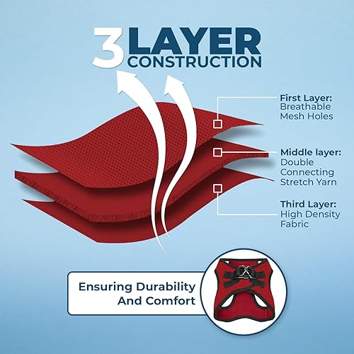 Miniatura 5 de Best Pet Supplies - Arnés de malla para todo tipo de clima, reflectante, antitirones, para perros y gatos pequeños y medianos, con velcro, hebilla,