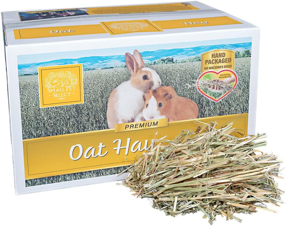 Small Pet Select Oat Hay Pet Food, Delightful Treat for Rabbits, Guinea Pigs and Other Small Animals, Easy to Store Box, Food Additive for Picky Eaters, 40 LB