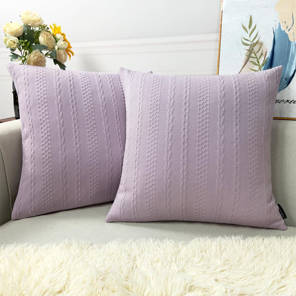 Booque Valley Pack of 2 Decorative Throw Pillow Covers