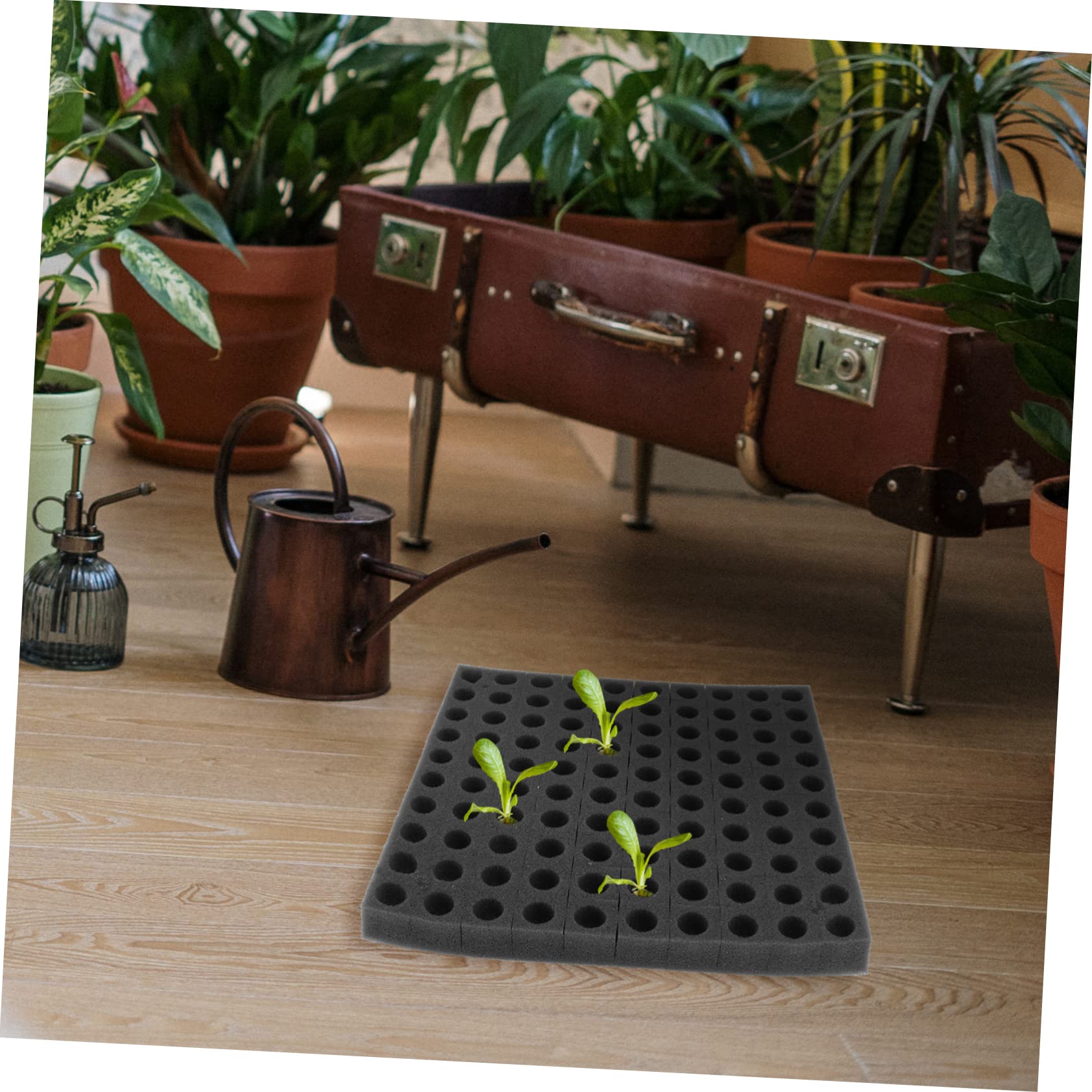 Toddmomy 2 Series Bloque De Esponja para Plántulas Germinación De Plantas De Jardín Bandejas Cubos De Cultivo Iniciador De Plantas Negro Inicio Planta De Semillero Verdura Black 2 Hojas*2
