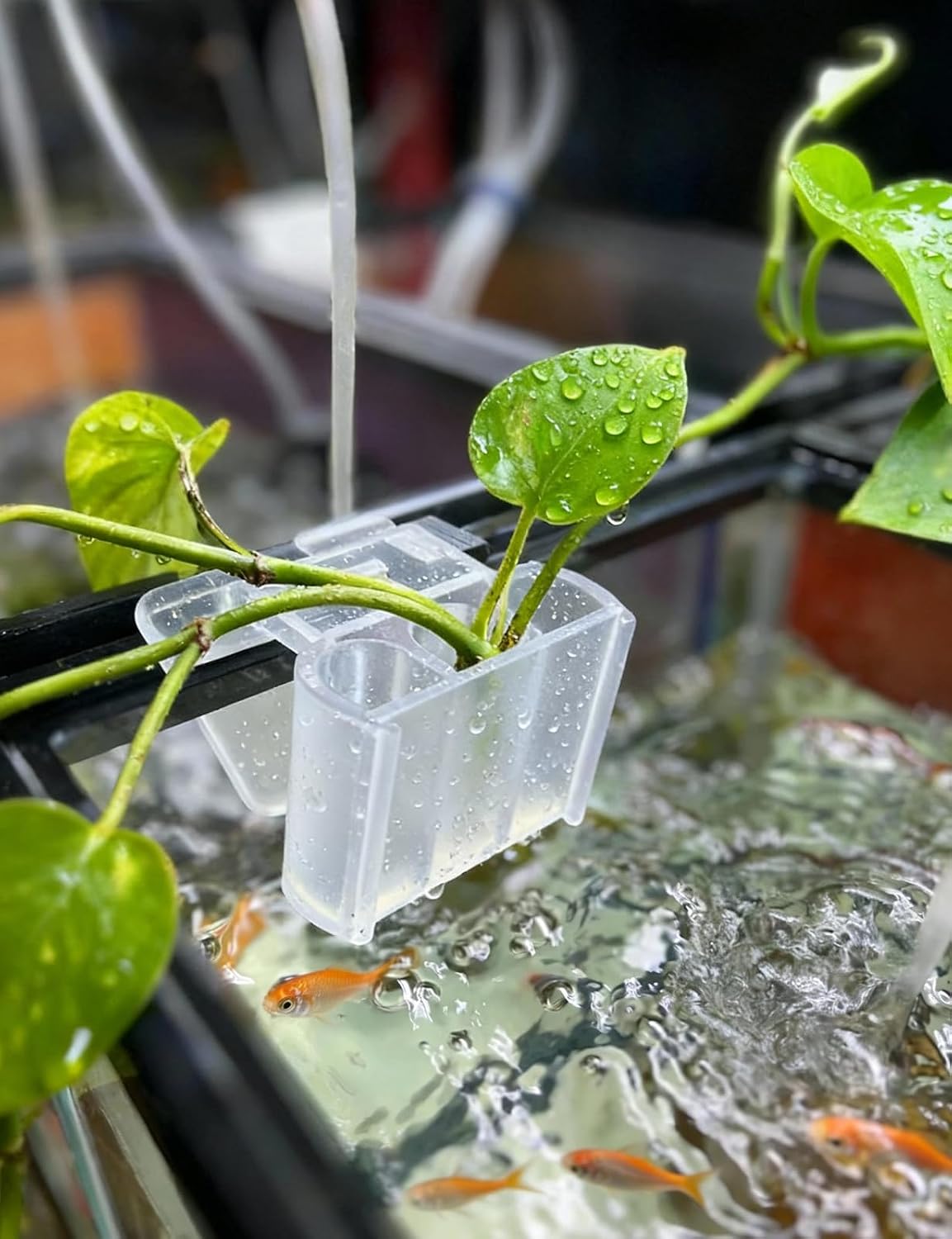 sogiv 3 Holes Aquatic Plant Cups, Hanging Aquarium Plant Holder for Fish Tank Plants Potting, Aquascape Accessories Decorations, Clear, 4 Pcs image 4