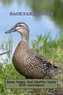 Backyard Ducks: Raise Happy And Healthy Ducks With Confidence