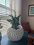 Review Image by Cmm1122