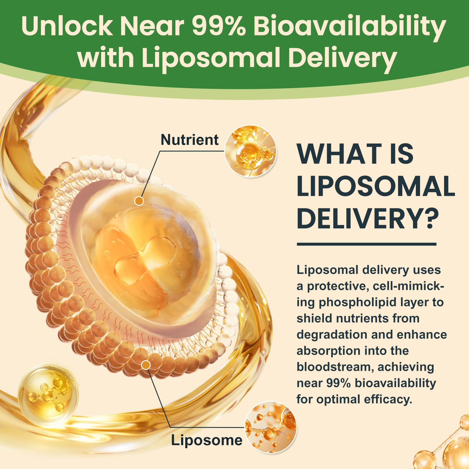 Liposomal Kava Liquid Drops Kava Kava Supplement - Valerian Root for Sleep Stress Relief Kava Root Extract - Calmness & Relaxation with Magnesium, Passionflower, Chamomile, Milk Thistle, L-Theanine — Amazon image 6