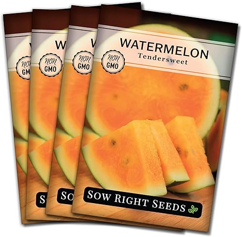 Sow Right Seeds - Semillas de sandía tiernas para plantar - Semillas tradicionales sin OMG para plantar un huerto casero - Melón de carne naranja