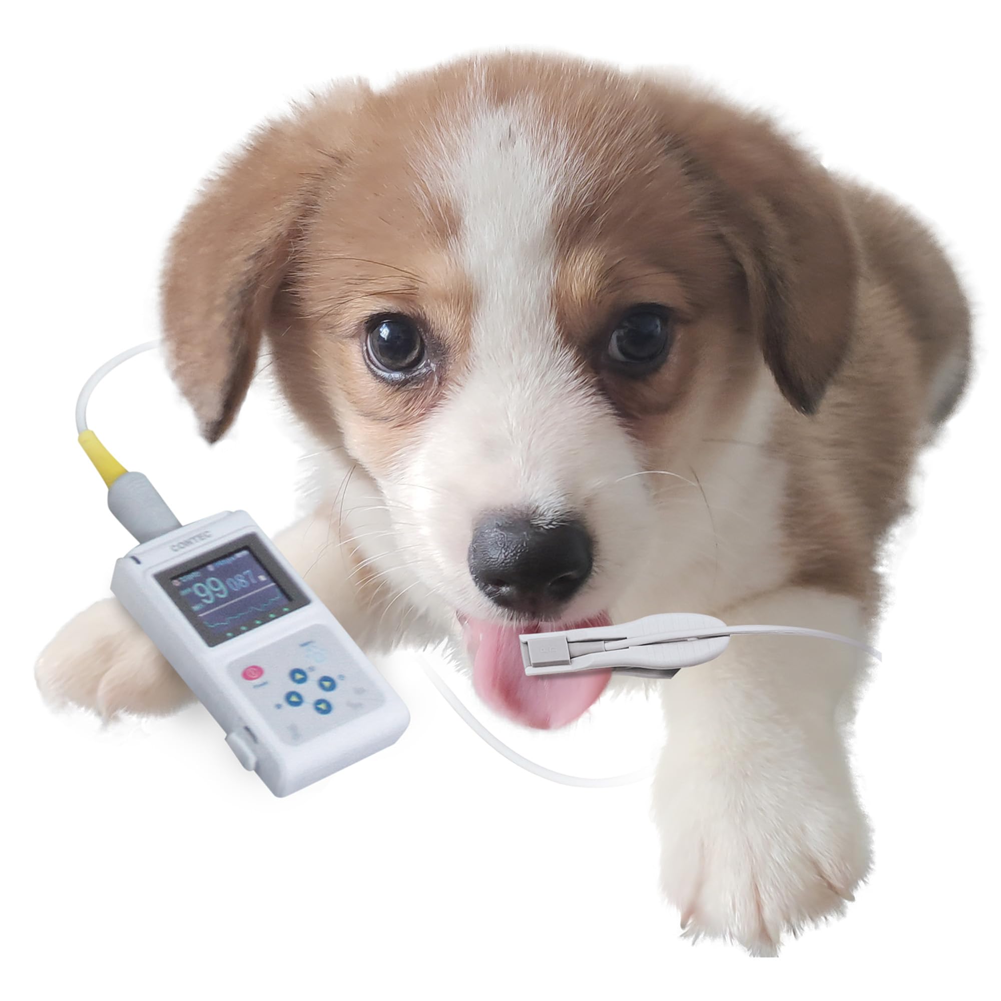 PULSOSSIMETRO VETERINARIO OXY-50 con software
