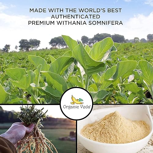 Vista 6 de Polvo orgánico de raíz de Ashwagandha, certificado por USDA, 1 libra Organic Veda