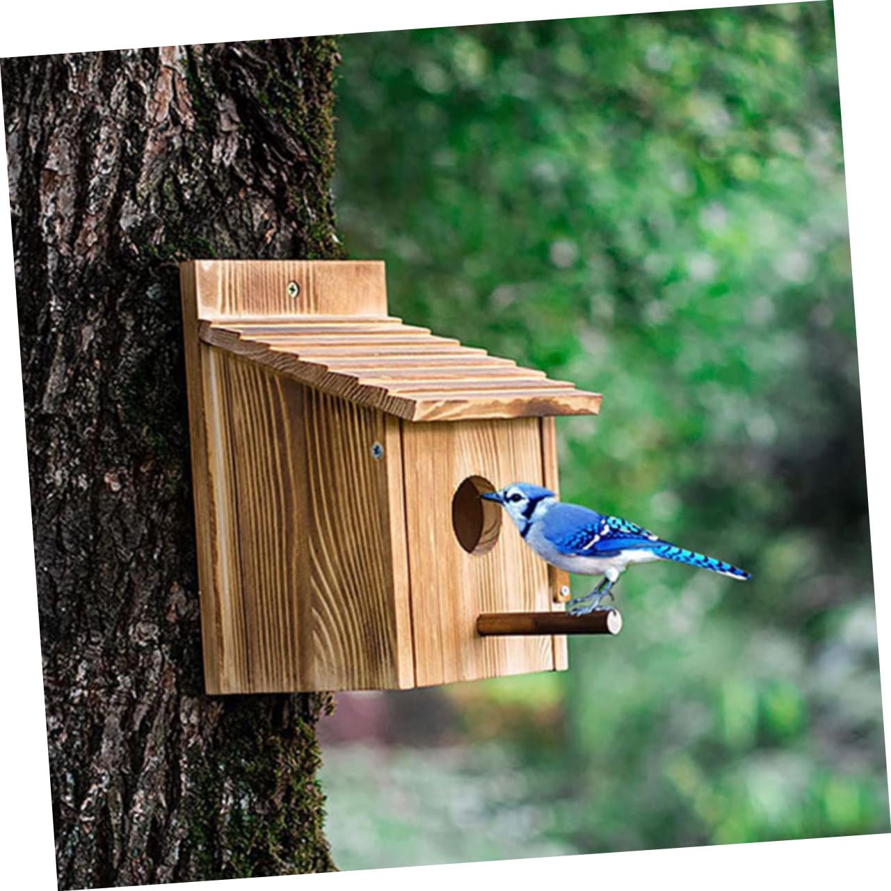 INOOMP Casita de Pájaros de Madera Colgante para Dormir Nido de Cría para Pájaros Decoración de Jardín Exterior Nido de Madera para Chochines
