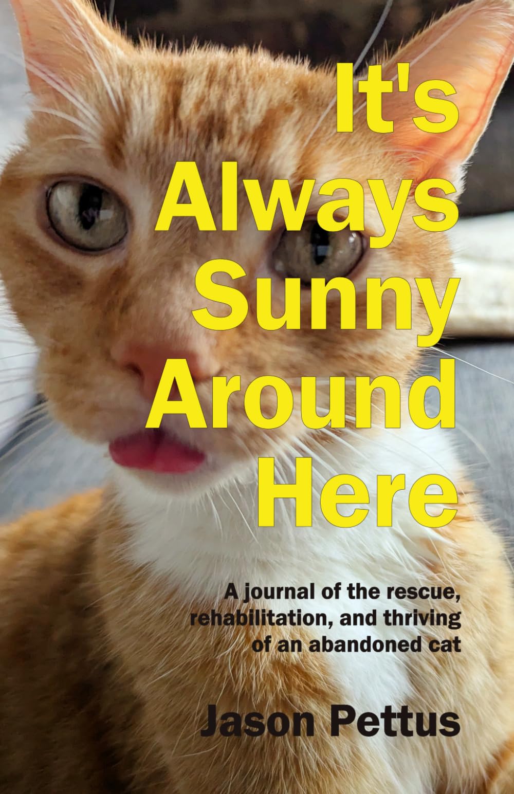 It's Always Sunny Around Here: A Journal of the Rescue, Rehabilitation, and Thriving of an Abandoned Cat