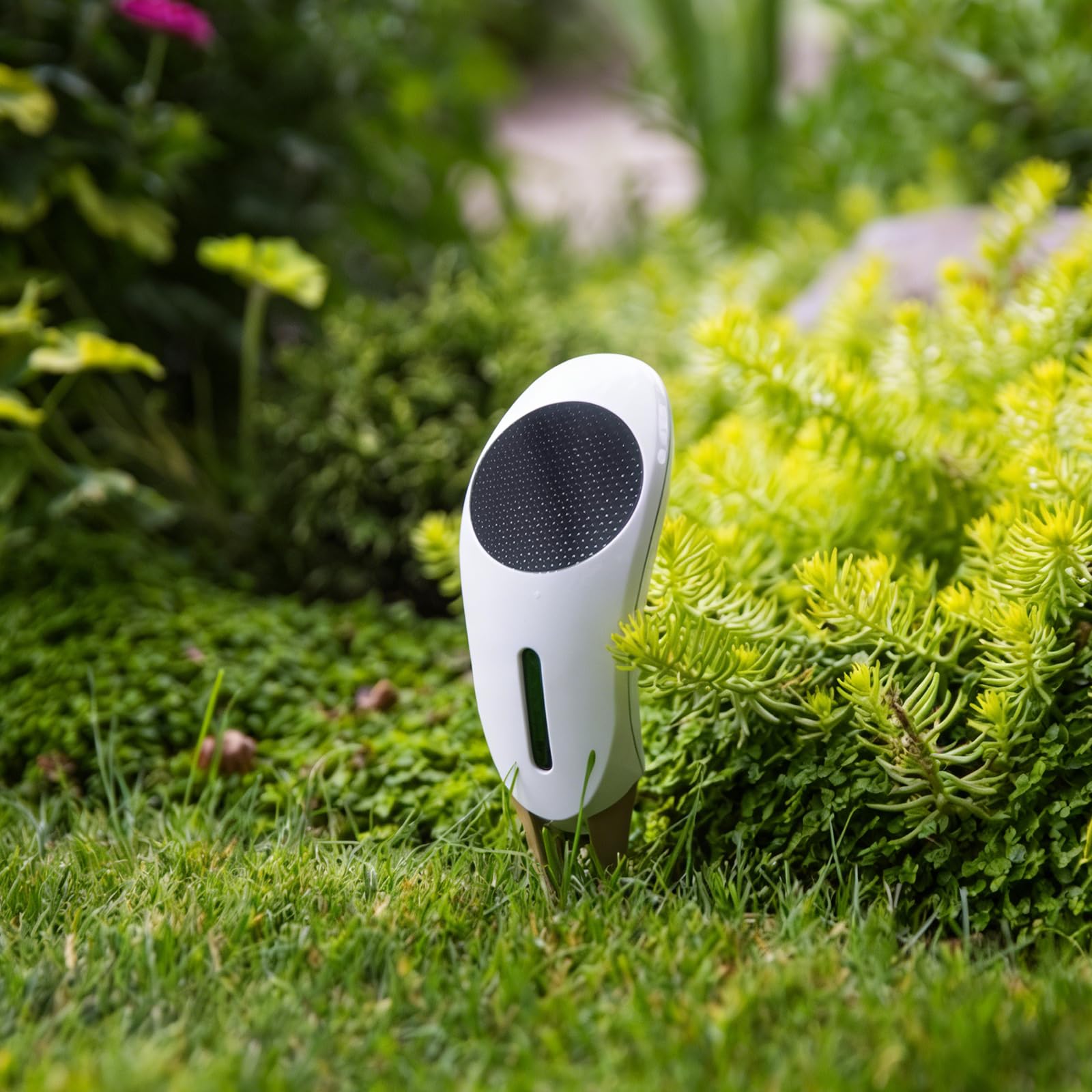Netro Whisperer Sensor inteligente de planta de 2ª generación, basado en aplicaciones, conectado a WiFi, funciona con energía solar para uso en exteriores