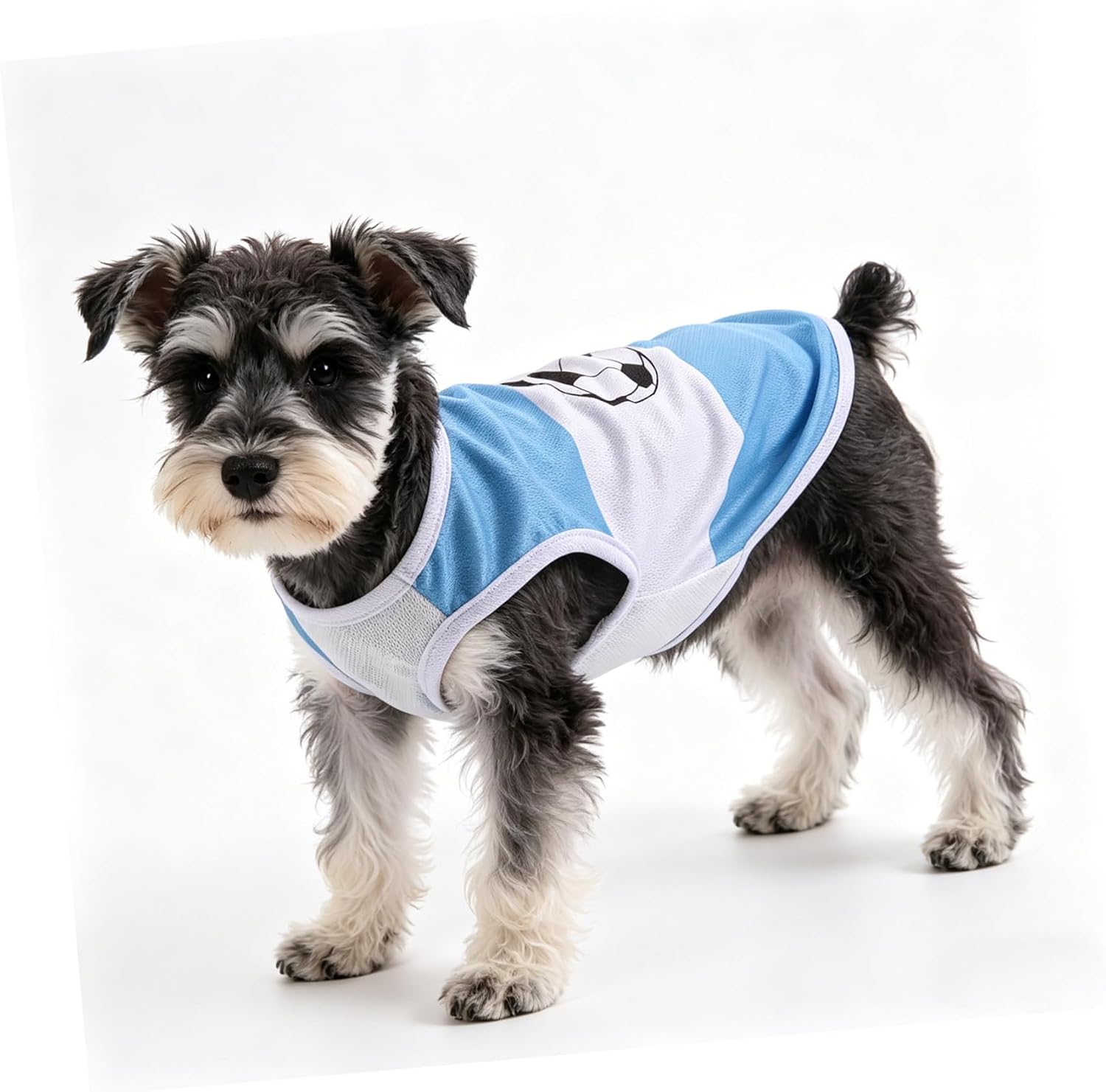 HEMOTON Sleeveless Argentina Flag Style Pet Soccer Jersey for Dogs and Cats, Breathable Blue and White Sportswear, Lightweight Cloth Material, for Football Games and Outdoor Play