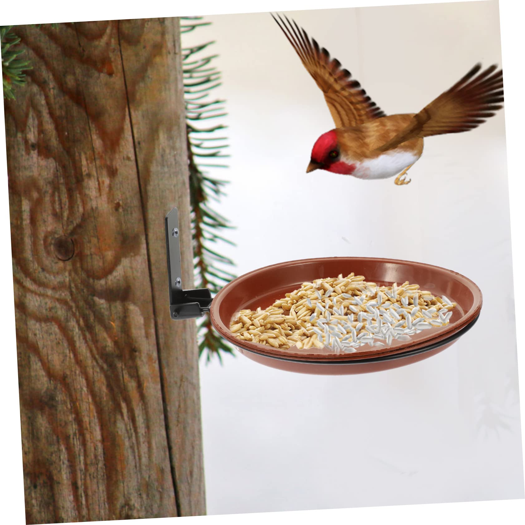 Kisangel 2 Juegos De Comedero para Pájaros Montado En La Pared Alimentador De Agua para Pájaros Tapa De Botella Regadera Comedero para Pájaros Montado En Árbol Comedero para Pájaros