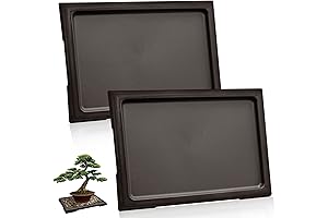 2PcsBonsai Pots Humidity Tray Plant, Pebble Trays for Indoor Pots