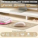 YUNZll C1 Souris sans fil en silicone, Tri-mode 2.4G/USB-C/Bluetooth, 4800 Suivi optique DPl, 6 Niveaux de réglage, Personnaliser les souris pour ordinateur portable, ordinateur, iPad, MacBook (Béige) 6-Level DPI,Jusqu'à 4800,Suivi optique,500mAh Batterie 2.4G/USB-C/BT,C