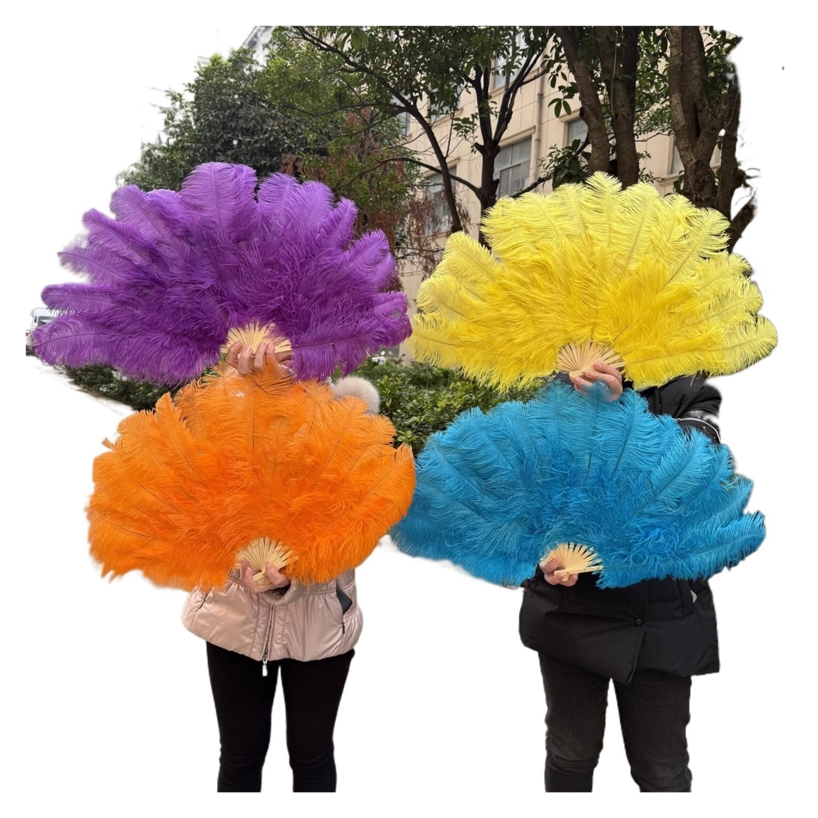 Amazon.co.jp: オーストリッチフェザーファン 色付き天然羽根扇子 15本