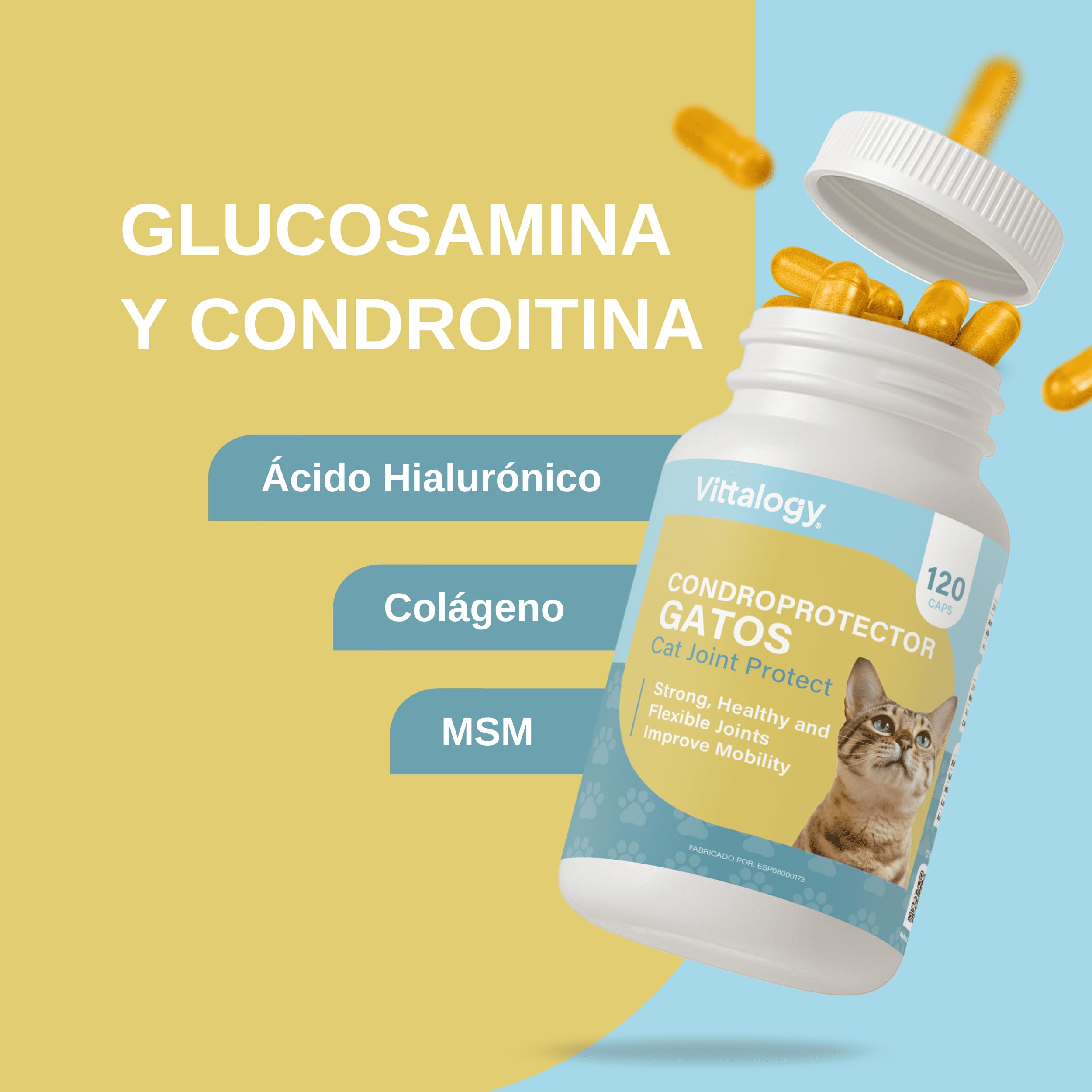 Condroprotector para Gatos. Antiinflamatorio Natural con Colágeno, Condroitina, Hialurónico y Cúrcuma. Complemento Alimenticio para Caderas, Articulaciones y Cartílagos. (120 Cápsulas)