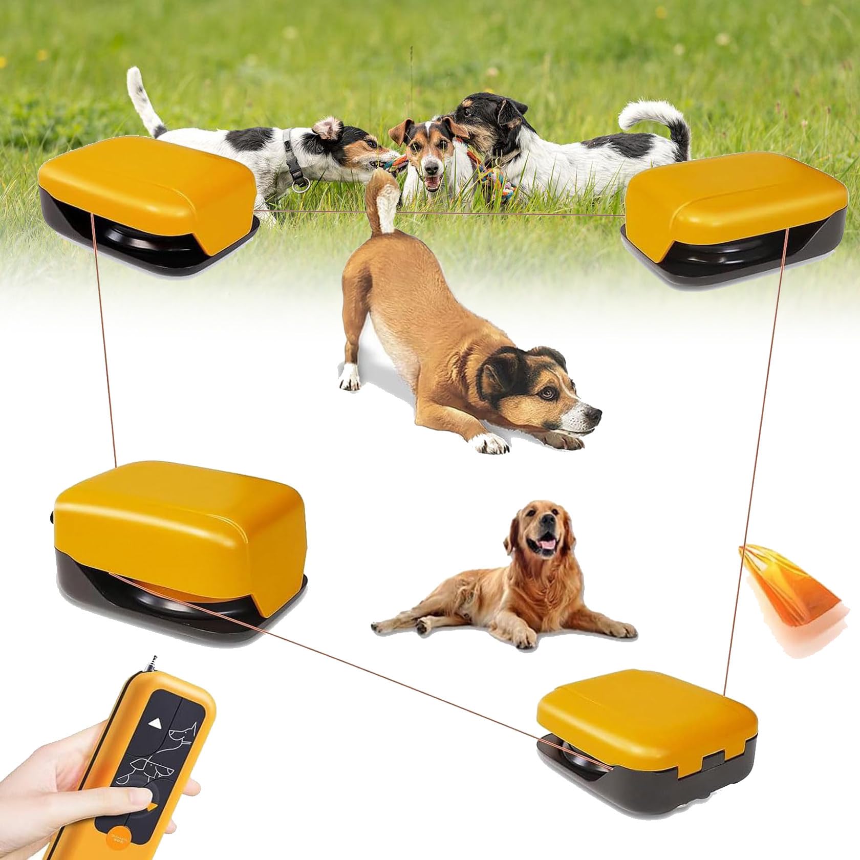 Set di allenamento interattivo per cani, lunghezza regolabile per giocare ed esercitare i cuccioli, migliora le abilità di corsa e inseguimento