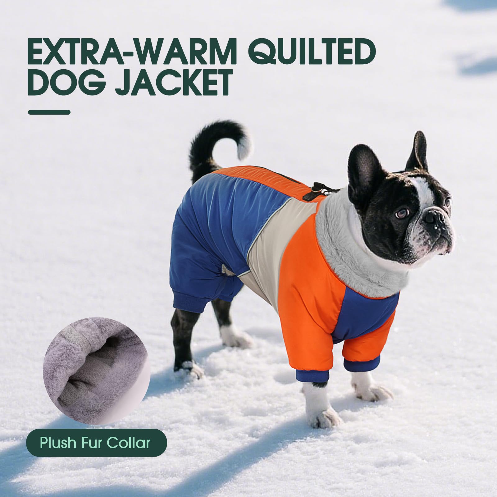 Amazon.com : Kuoser Fullbody Dog Coat - Warm Winter Coat with