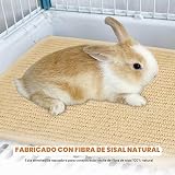Ver la foto 4