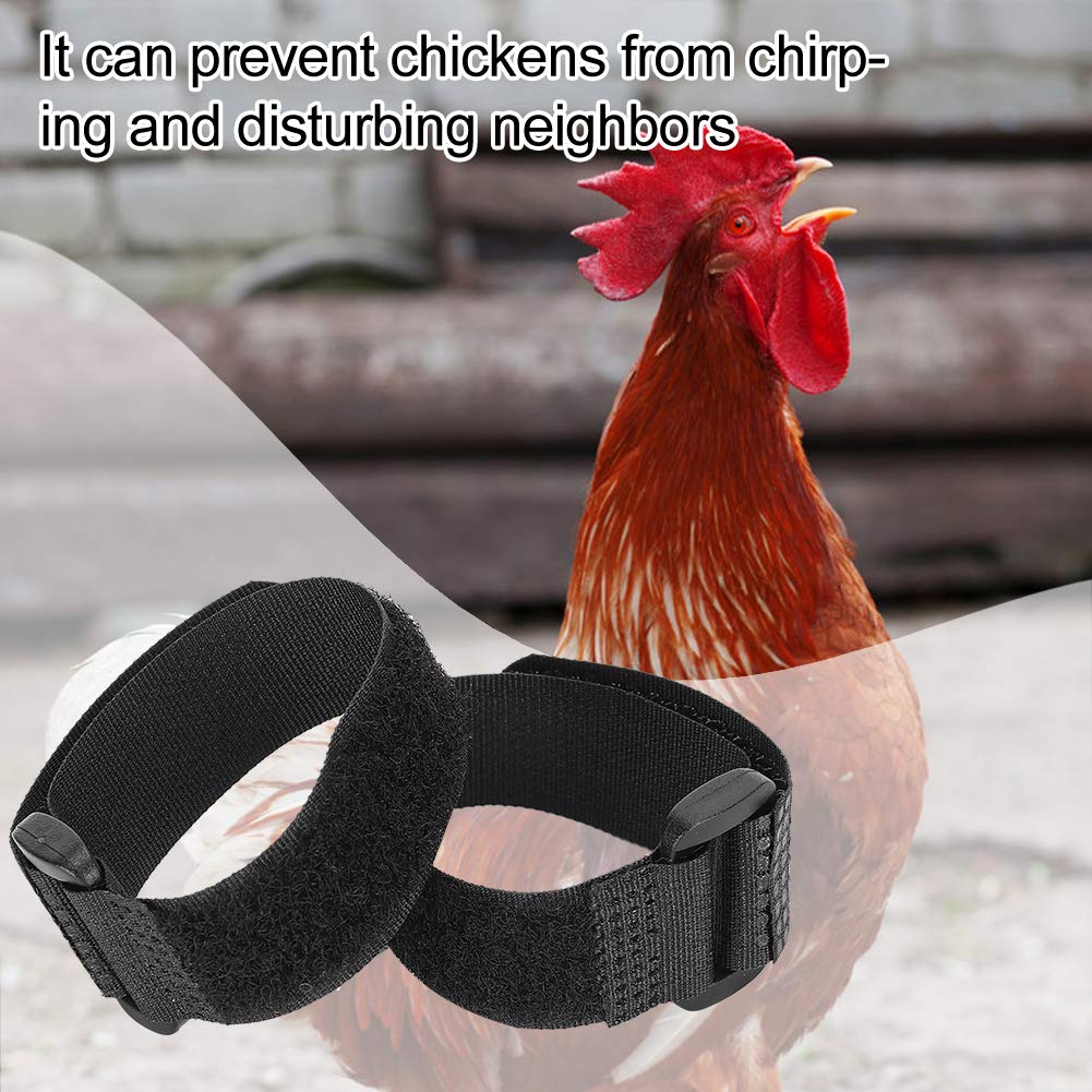 Collier anti-crochet anti-bruit pour coqs d'animaux de compagnie, 10 pièces, empêche les poules de crier (style normal) (Type 2)