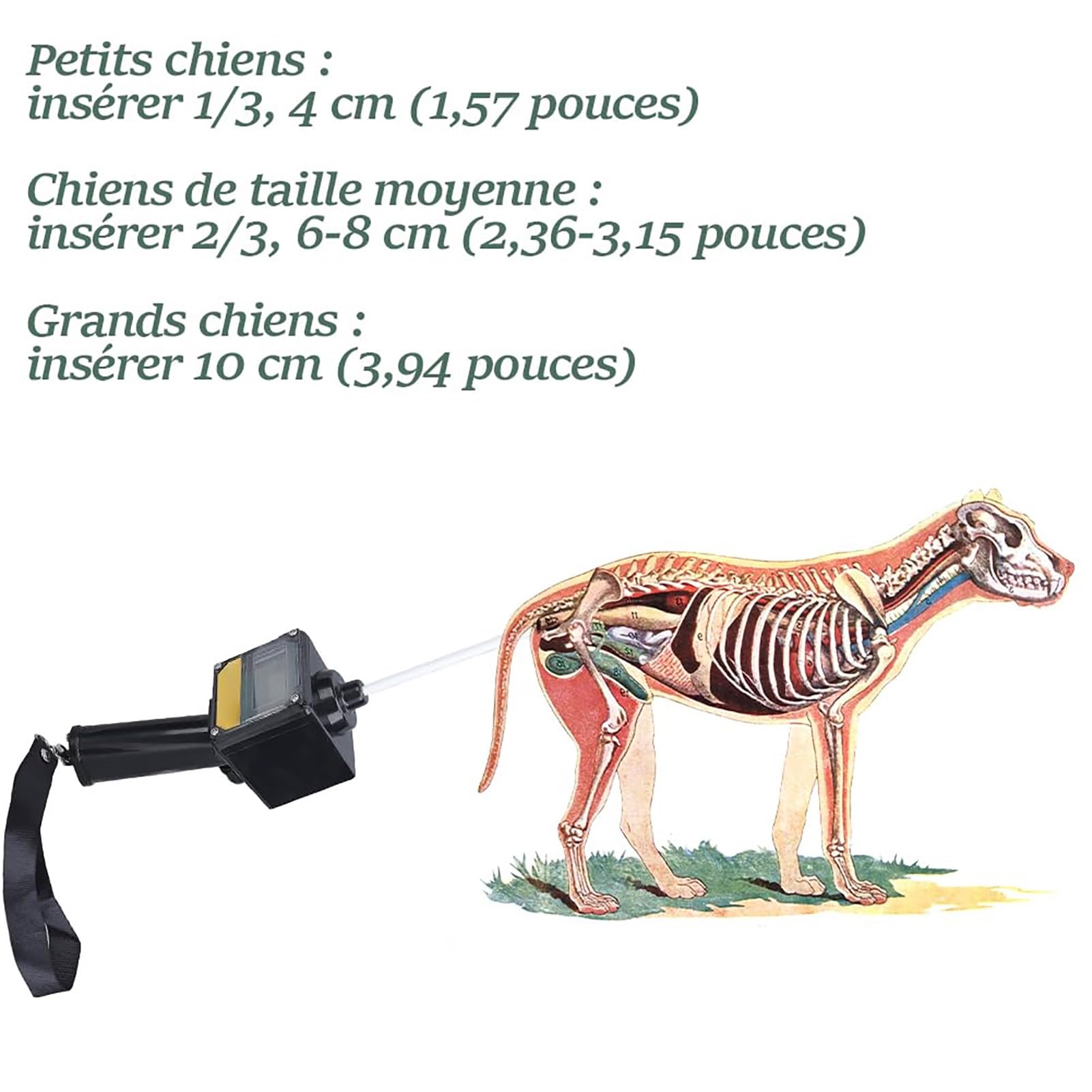 Prueba de progesterona for perros máquina, detector de ovulación de perros, detector de ovulación de perros for pruebas de apareamiento de planificación de embarazo de perros, probador canino de criad