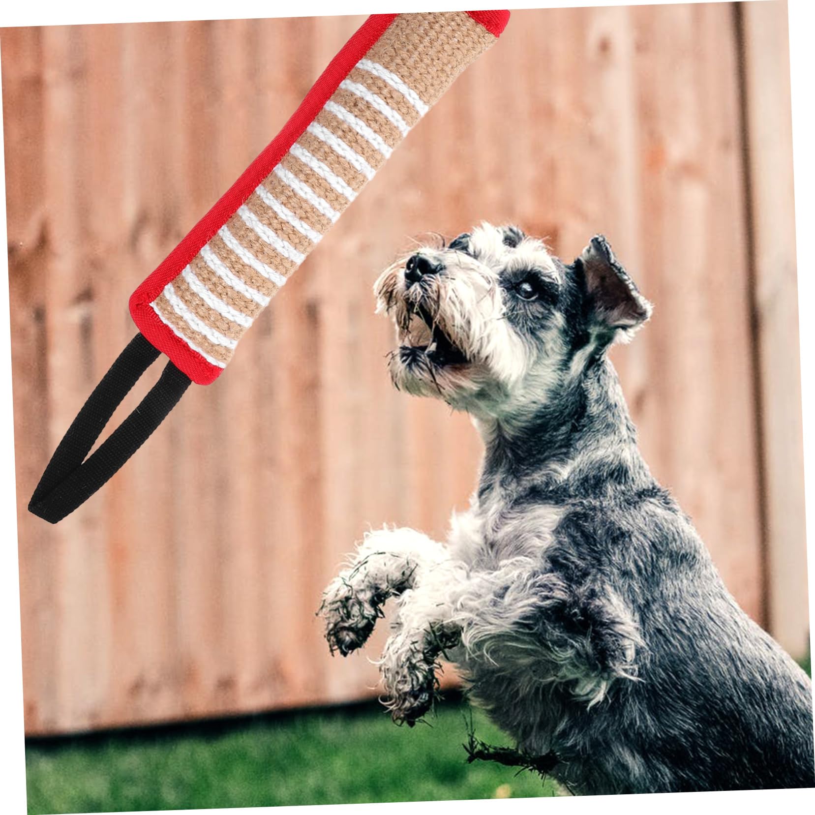 INOOMP 5 Stücke Material Hund Schlepper Spielzeug Interaktive Beißen Kissen Für Hunde Molaren Kissen Spielzeug Hundespielzeug