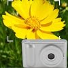 Compact Small Camera for 4K Digital Camera, 48MP HD Pocket Micro SLR Camera with 16X Digital Zoom, 2.4 TFT Screen Travel Photography Vlog Silver