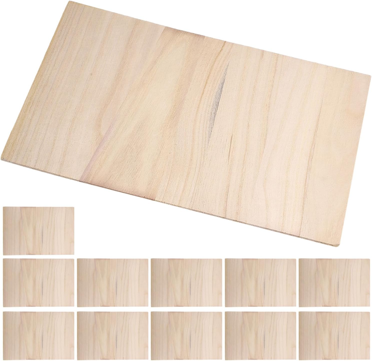 VALICLUD 12pcs Taekwondo Breaking Boards Set, Wood Karate Training Boards 0.3cm 0.6cm Thickness, Martial Arts Practice and Performance Equipment and Adults