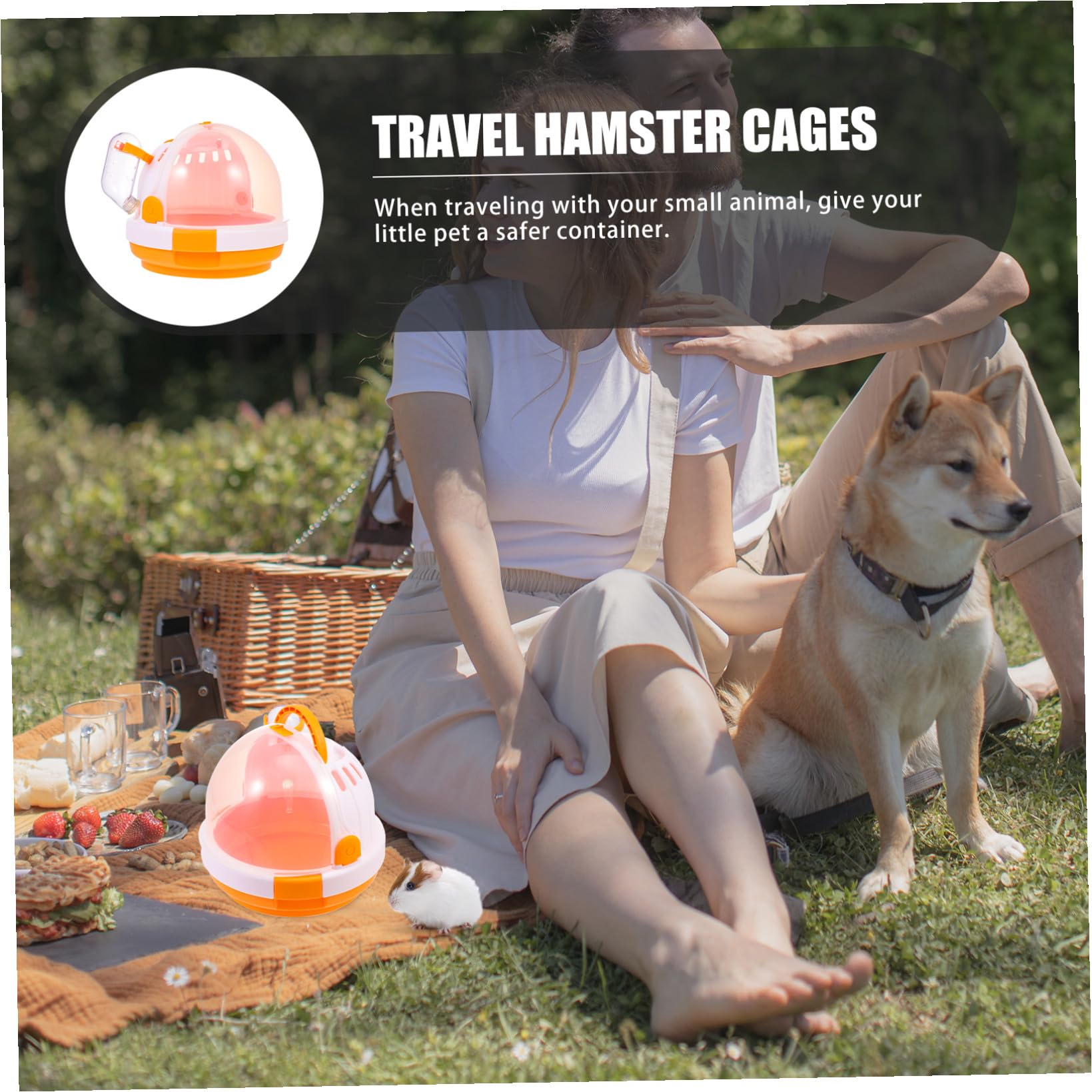 Hamstertransportbox aus Pp Tragbar und Leicht zu Reinigen Nicht Leicht Verformbar für Kleine Tiere und Reisen im Freien Praktische Hamster Tragetasche