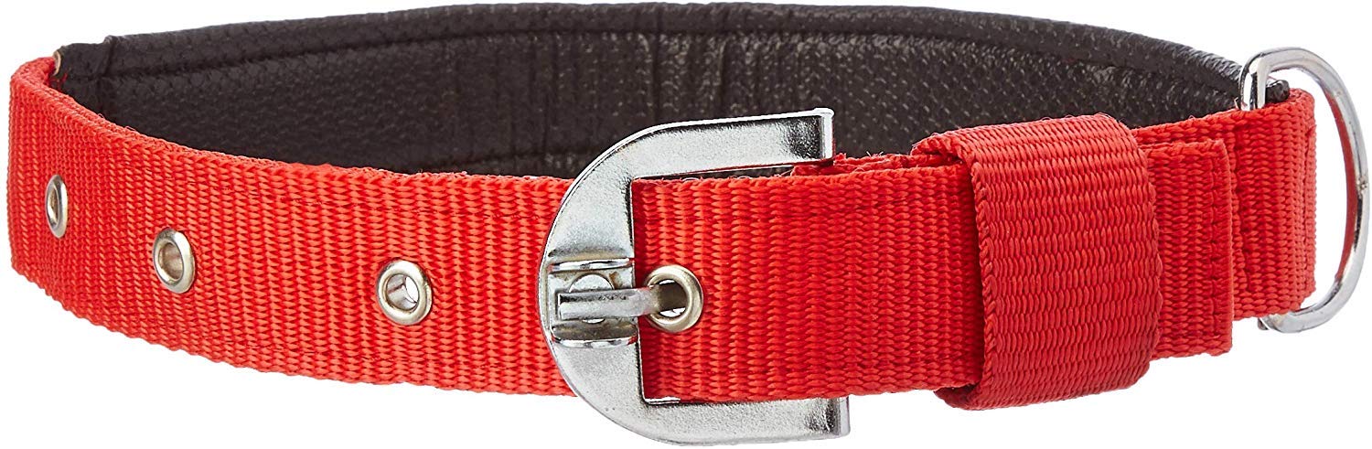 Munchos High Soft Quality Padded Everyday Dog Collar (Colour May Vary) (0.75 Inchi (Small)) (B07XFC78TC) Amazon Price History, Amazon Price Tracker