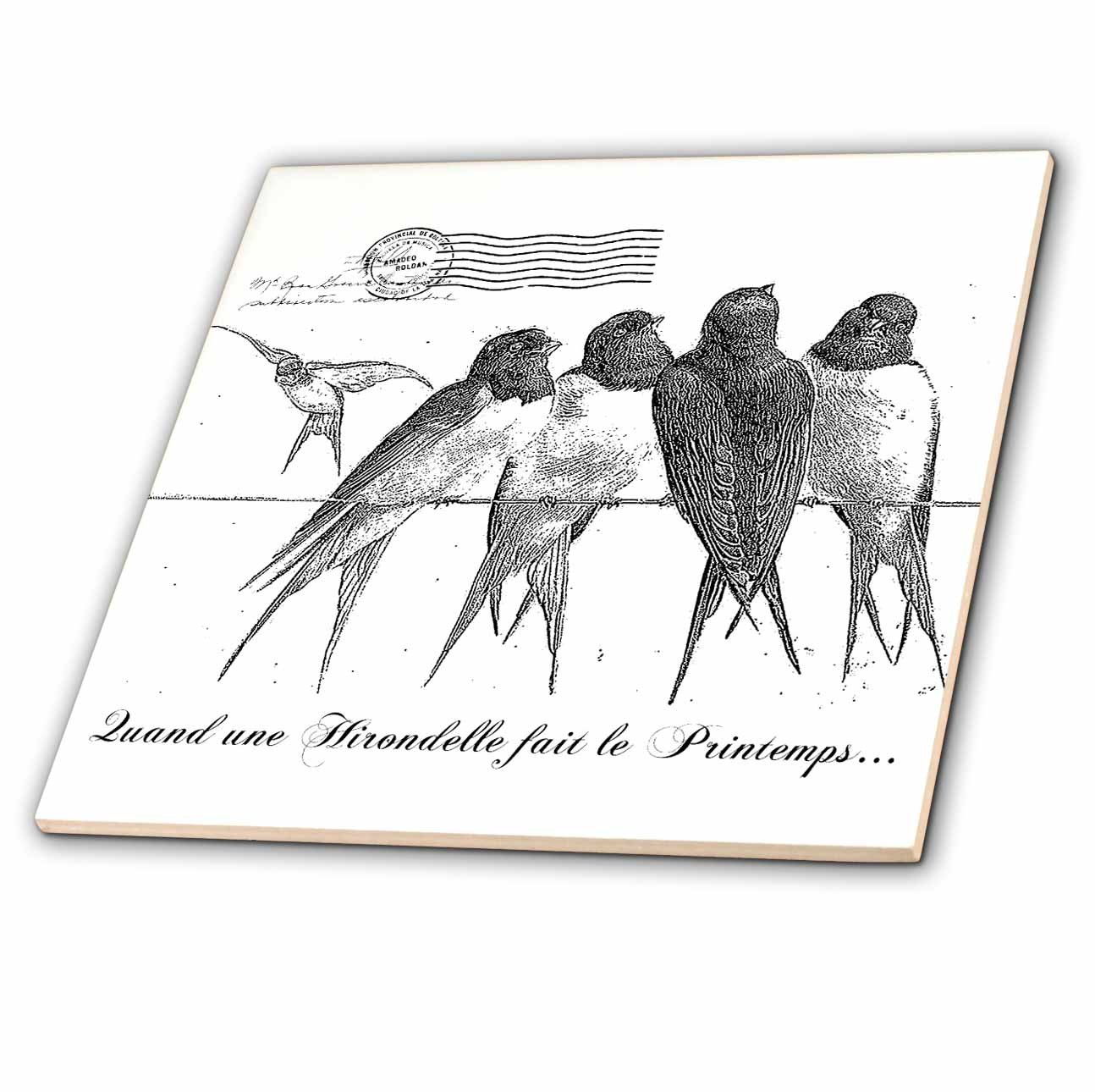 Amazon.co.jp: PSビンテージ – ビンテージブラックandホワイトFrench鳥