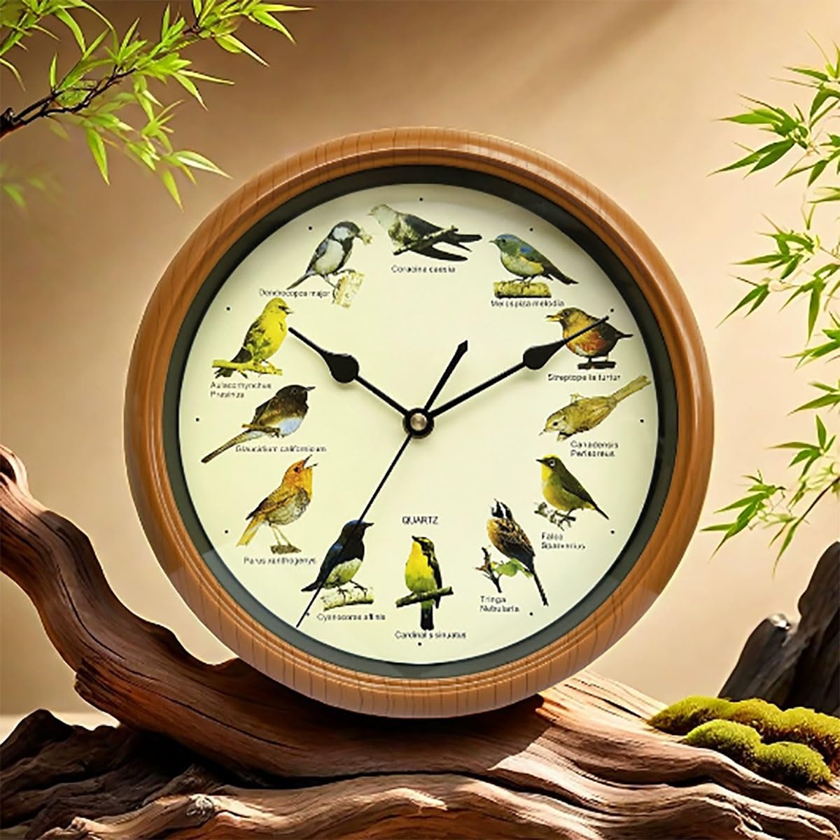 ZGWRYI Bird clock that Sings on Hour,Birdsong Wall Clock,12 Native Bird Species Cuckoo Clocks,Garden Home Kitchen Decorative Non ticking(25cm/9.8in)