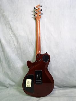 Godin Guitars 036523 Solid-Body Electric Guitar