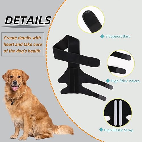 Miniatura 3 de Rodillera para perro para desgarro del ligamento cruzado anterior o trasero, displasia de cadera, artritis, lesiones de ligamentos, soporte de