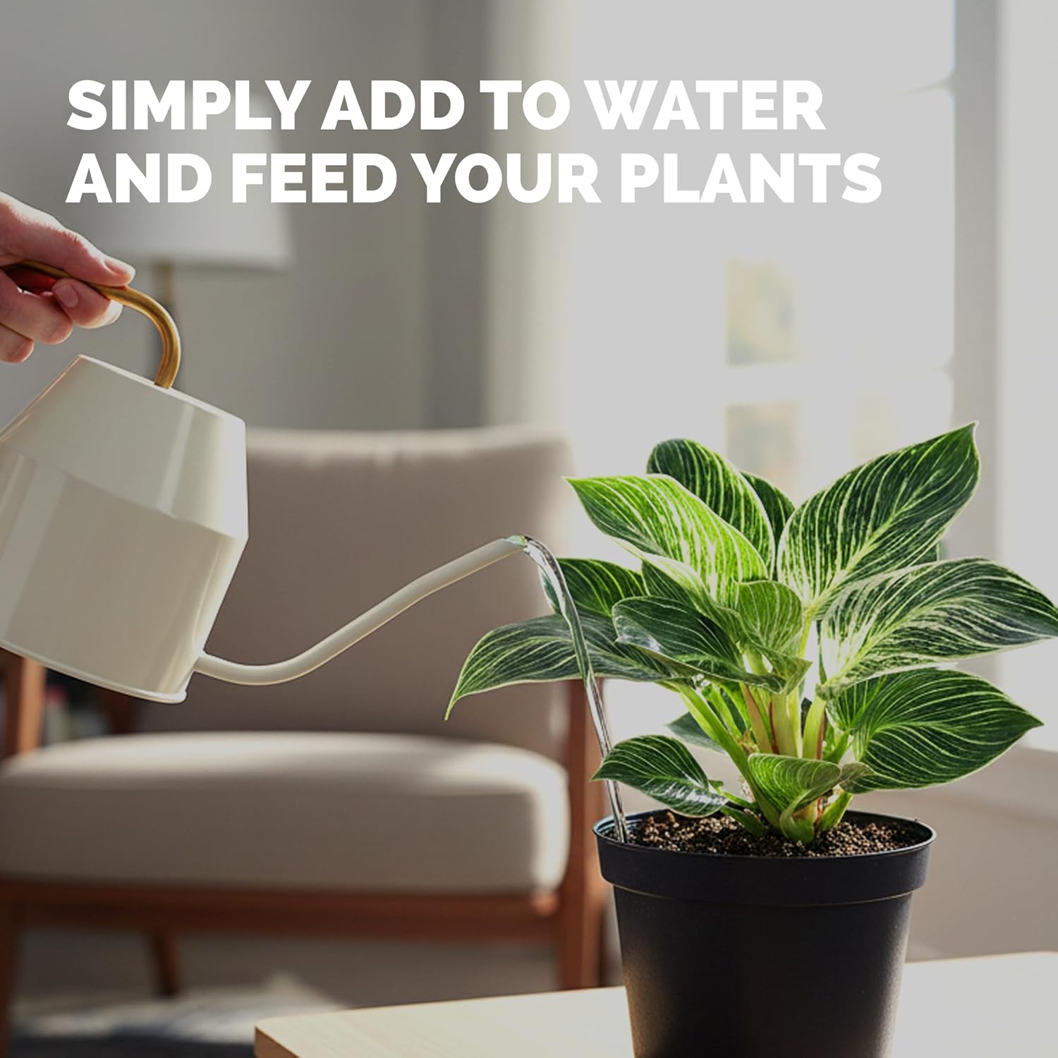 Philodendron Fertilizer – Liquid Plant Food for Bigger Leaves, Lush Foliage & Steady New Growth, 32 oz