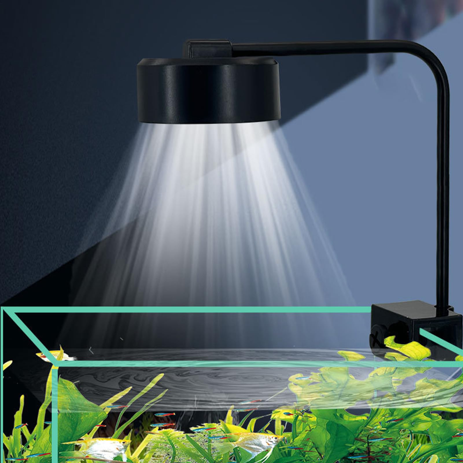 Amazon.co.jp: LED 水槽ライト | 淡水魚用水槽ライト,スマート3段階調 