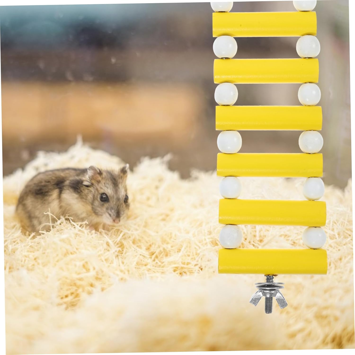 BESPORTBLE 5pcs Wooden Hamster Ladder Toy Climbing Bridge for Small Animals for Hamsters Rats and Other Pets Easy to Install