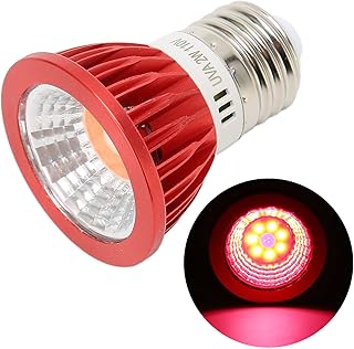 ciciglow Reptile Simulates Environment Standard