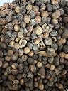 acorns for squirrels Top2商品