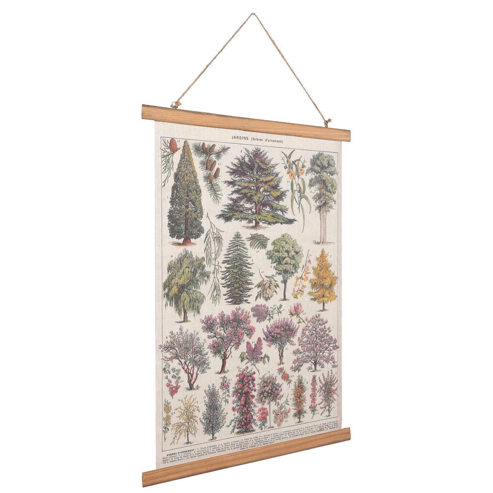 Ilustraciones botánicas VALICLUD cuadro colgante retro de tela para decorar salas y oficinas